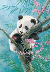 Puzzle 500 pezzi Bamboo Dreams panda