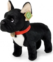 bulldog francese di peluche nero con collare 30 cm eco-friendly