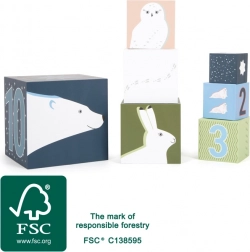 Blocchi impilabili Arctic per bambini