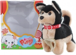 Cagnolino nero a batteria che cammina