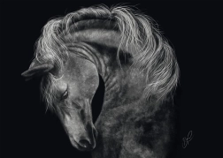 Puzzle Forza del cavallo 1000 pezzi