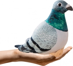 Piccione colombaccio di peluche grigio 20 cm