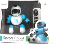 Robot Calciatore a Infrarossi