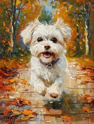 Pittura diamantata cane maltese 30 × 40 cm