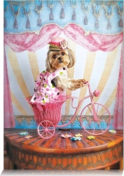 Puzzle Sognatore viaggiatore 500 pezzi