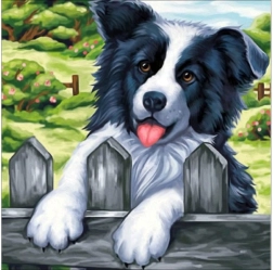 Ricamo con diamanti (diamond painting) quadro «Cane sul recinto» 30 × 30 cm - 1 pezzo