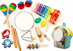 Set musicale 10 strumenti per bambini con zaino ECOTOYS