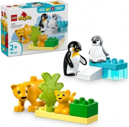 LEGO DUPLO famiglie di animali selvatici: pinguini e leoni
