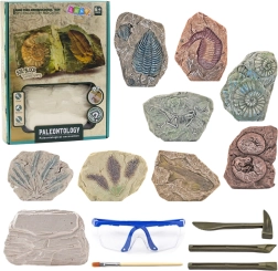 Set paleontologico di scavo blocco in gesso con strumenti