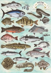 Puzzle TREFL Premium Plus Finders Keepers: pesci 500 pezzi