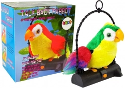 Pappagallo Pleciuga Uccello che ripete le parole verde