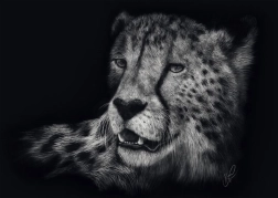 Puzzle Velocità del ghepardo 1000 pezzi SCHMIDT