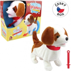 Cagnolino Besinka con fischietto