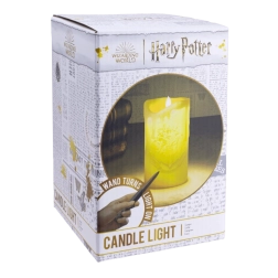 Torcia con bacchetta di Harry Potter