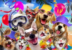 Puzzle Alipson Selfie Festa in Spiaggia 1000 pezzi