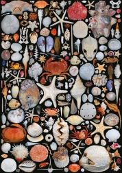 Puzzle Dalla spiaggia 1000 pezzi PIATNIK