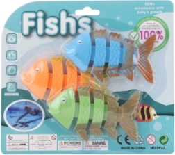 Scheletri per immersioni per bambini