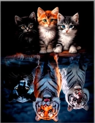 Pittura diamantata – gatti e felini 30 × 40 cm