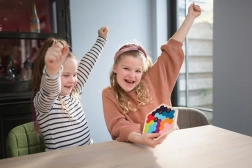 Gioco di logica – puzzle delle api