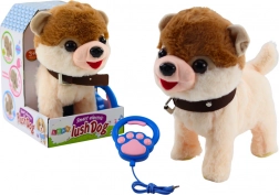 Cagnolino interattivo al guinzaglio