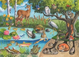 Puzzle animali sulla terra e sotto di essa – i segreti della natura 60 pezzi