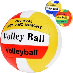 Pallone da pallavolo universale per spiaggia e sala