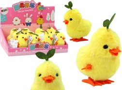 Pulcino carica giallo con fogliolina