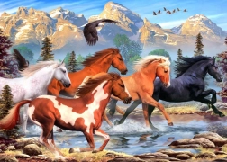 Puzzle ALIPSON Selvaggi e liberi 500 pezzi