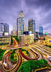 Puzzle Nishi-Shinjuku, Tokyo 1000 pezzi