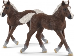 SCHLEICH HORSE CLUB puledro della Foresta Nera – figurina