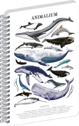 Blocco a spirale a righe Notique Animalium Sotto il mare A5