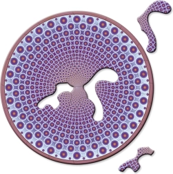 Curiosi puzzle rotondo mini Picoli Body, 33 pezzi