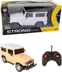 Auto fuoristrada telecomandato con luci