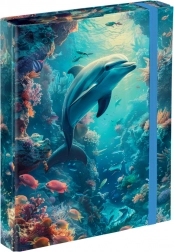 Cartelle per quaderni scolastici BAAGL Delfino A5