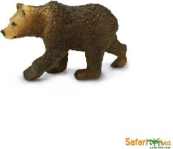 Orso grizzly – cucciolo