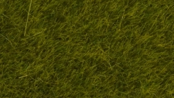 Erba statica Prato Selvaggio 6 mm