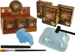 Scavi di creature antiche – sorpresa ammonite