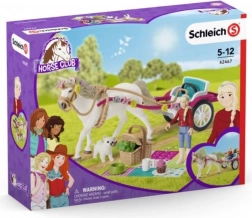 Carrozza per la grande sfilata di cavalli