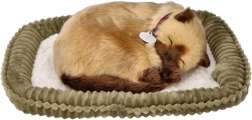 Gattino siamese interattivo che respira