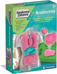 Set educativo di anatomia CLEMENTONI