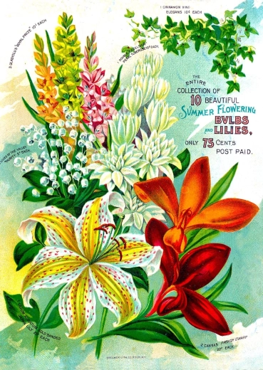 Enjoy puzzle Catalogo floreale vintage 1000 pezzi