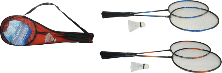 Set da badminton in custodia
