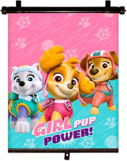 Tenda parasole per auto Paw Patrol
