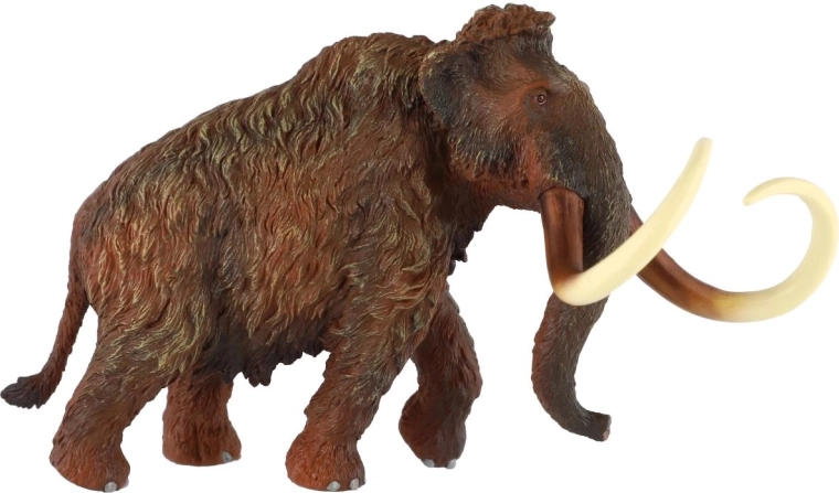 Texture e colorazione realistiche