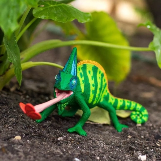 Ottima per il gioco e per imparare sulla natura