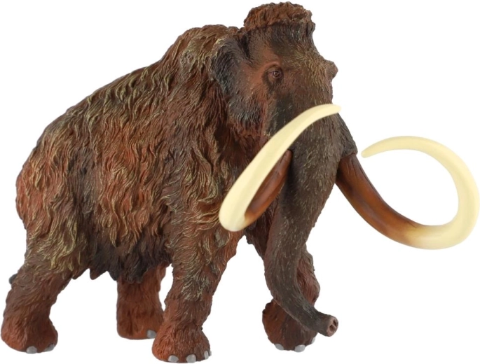 Zanne imponenti per un aspetto autentico