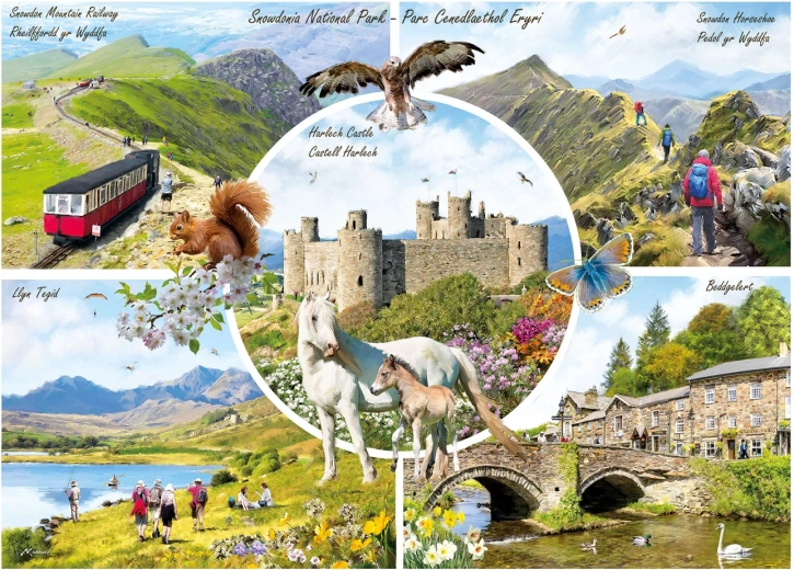 Puzzle Snowdonia 1000 pezzi GIBSONS