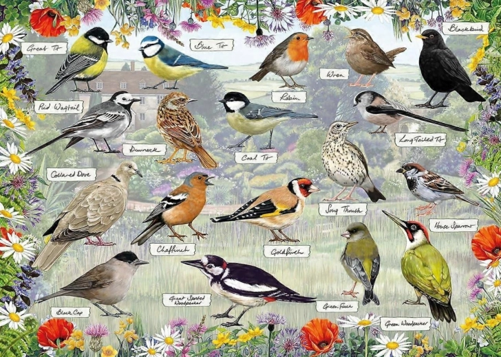 Puzzle Gibsons RSPB: Uccellini felici 1000 pezzi