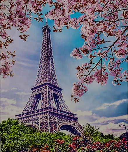 Norimpex dipingere con i numeri Torre Eiffel su sfondo floreale 40 × 50 cm