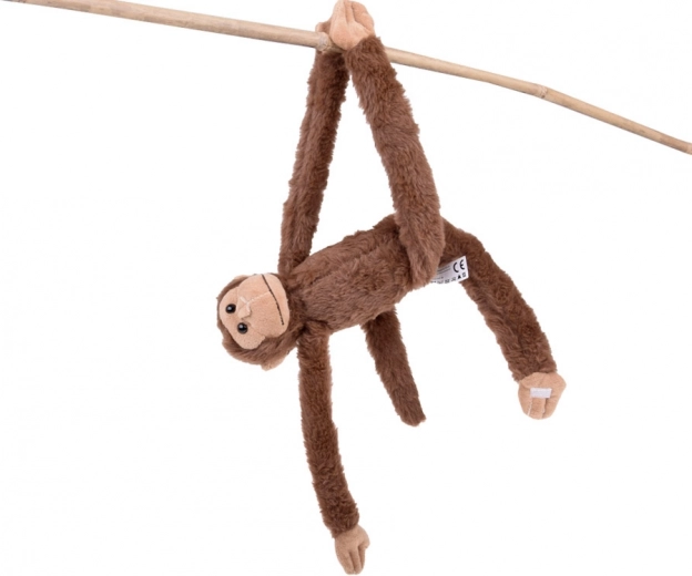 Zampette adesive per un divertimento senza fine